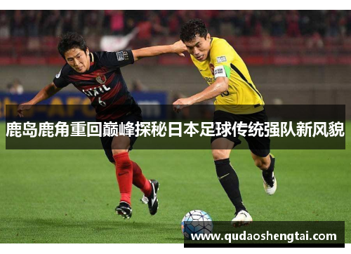 鹿岛鹿角重回巅峰探秘日本足球传统强队新风貌