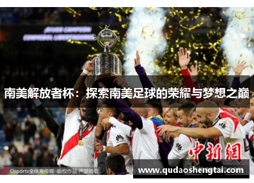 南美解放者杯：探索南美足球的荣耀与梦想之巅
