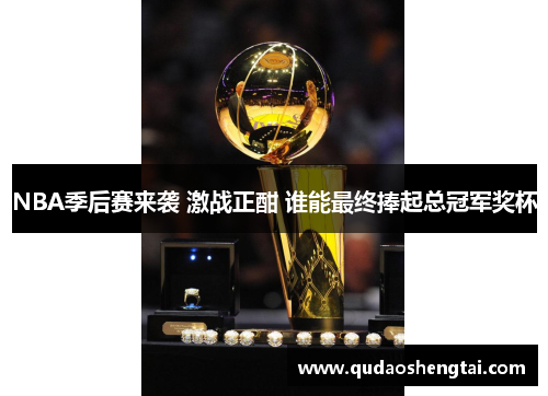 NBA季后赛来袭 激战正酣 谁能最终捧起总冠军奖杯